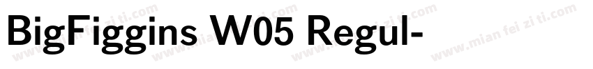 BigFiggins W05 Regul字体转换